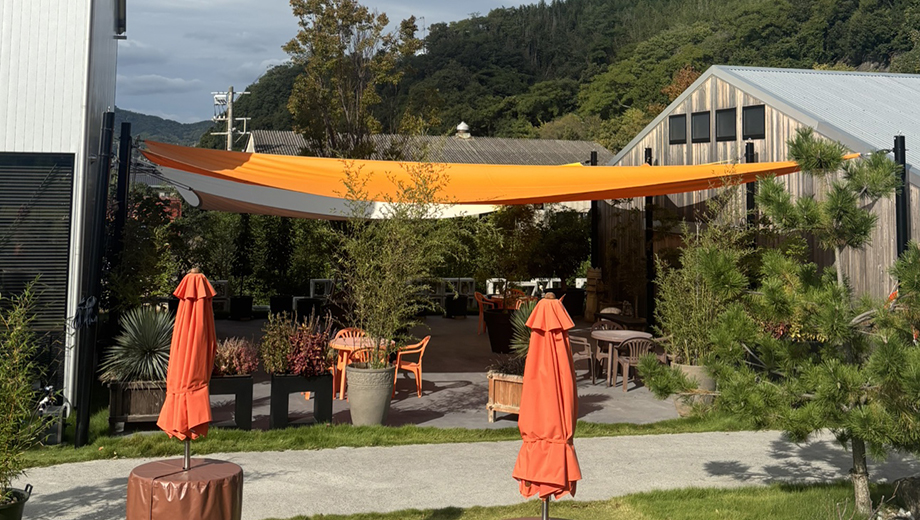 活用ポイント②画像